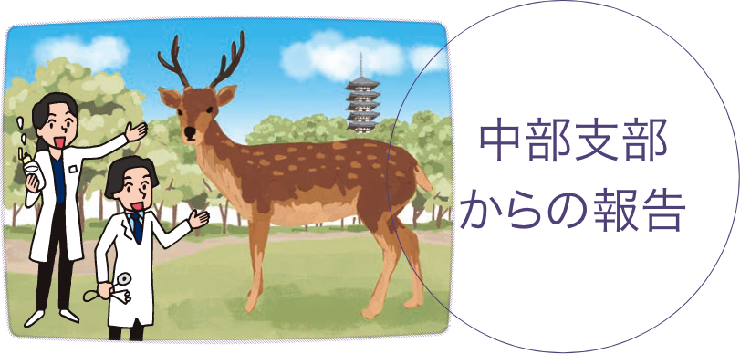 中部支部からの報告