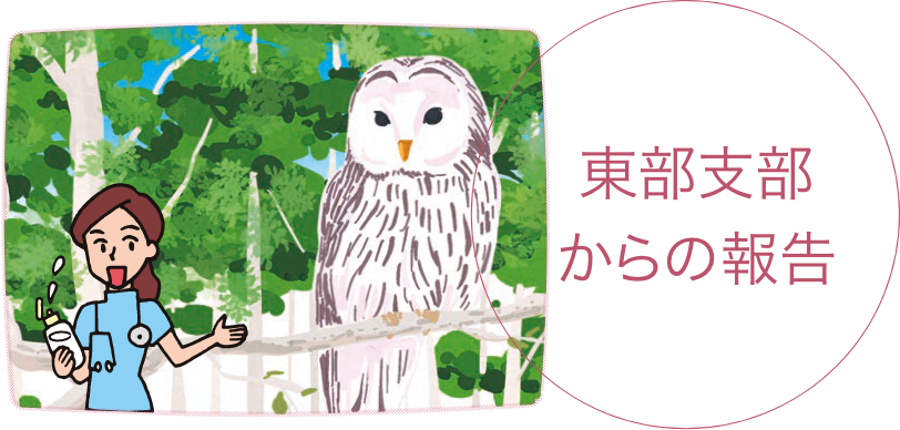 東京支部からの報告